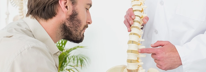 Chiropractic Roseville CA Doctor Demonstrating With Spine Chiropractic Roseville CA Doctor Demonstrating With Spine